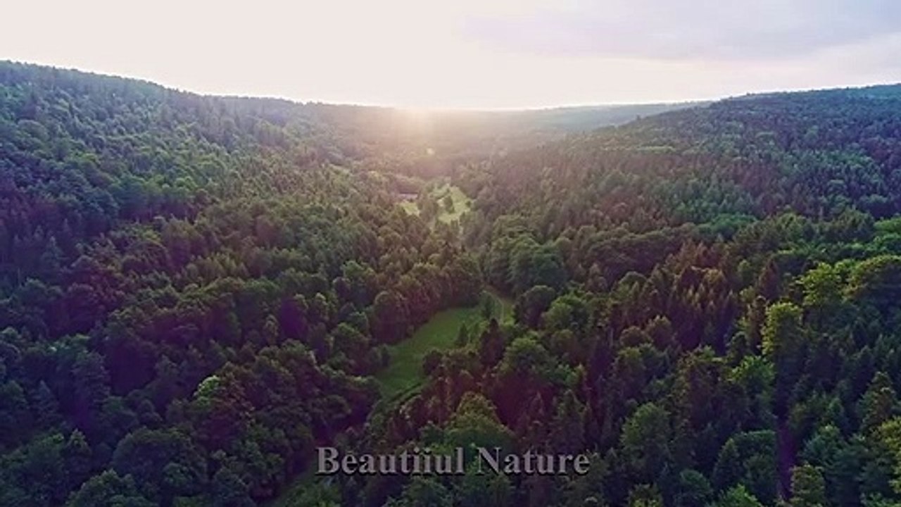 Beautiful Nature