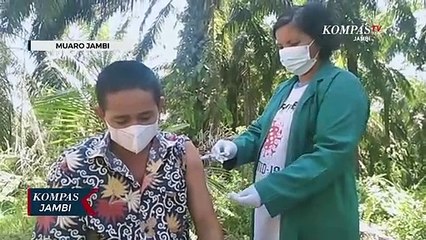Orang Rimba Muaro Jambi Vaksin di Kebun Sawit