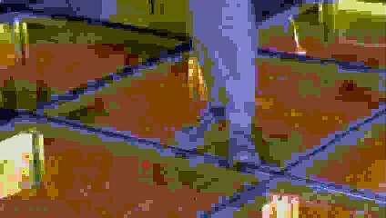 Toñi Moreno se despide de "Viva la Vida"