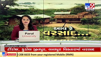 Aravalli_ Respite from heat as parts of Shamlaji receive downpour _ TV9News