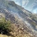 Tunceli'deki yangında dağ keçilerinin kaçışı böyle görüntülendi
