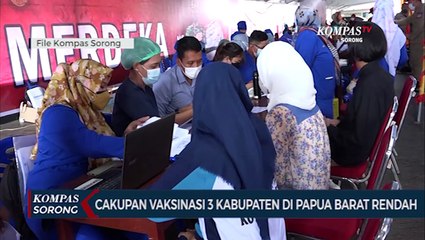 Cakupan Vaksinasi 3 Kabupaten Di Papua Barat Masih Dibawah 5%