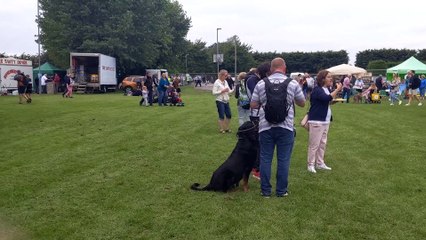 Crowds at Emsworth Show 2021