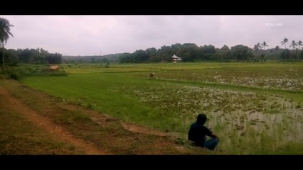 Back to  roots.. |  Nature Documentary | Traditional  Kerala
