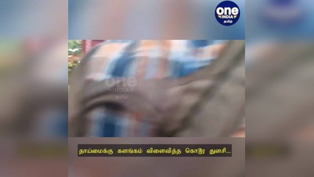 குழந்தையை தாக்கிய கொடூர தாய் துளசிக்கு... 15 நாட்கள் சிறை... நீதிமன்றம் உத்தரவு!