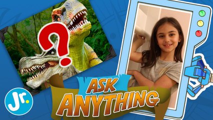 What Happened To The Dinosaurs? - Ask Anything