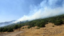 Son dakika haberi... Bingöl'deki orman yangına 100 kişilik ekip müdahale ediyor