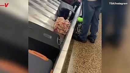 Raw Chicken Caught on Camera Rolling Around Luggage Carousel at Seattle Airport