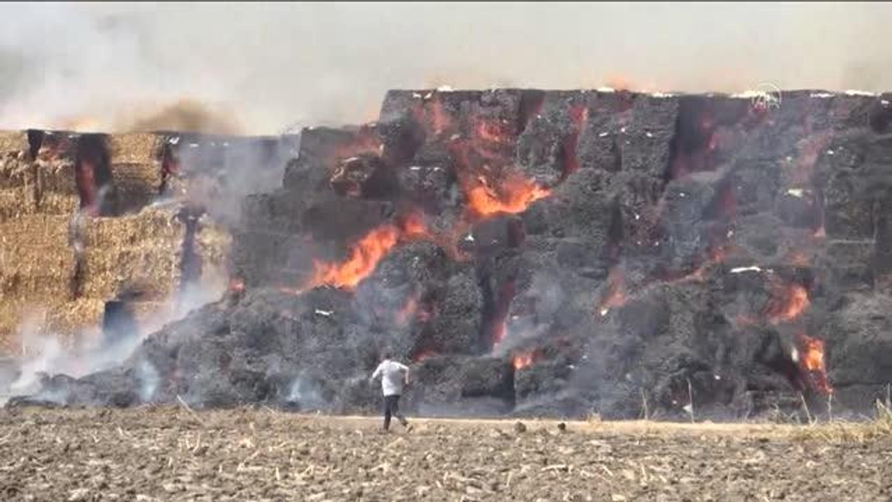 Mısır silajı balyalarının bulunduğu tarlada çıkan yangına müdahale ediliyor