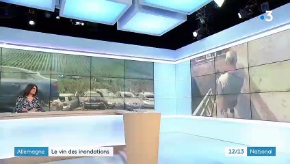 Allemagne : le "vin des inondations" s'arrache en soutien au producteurs