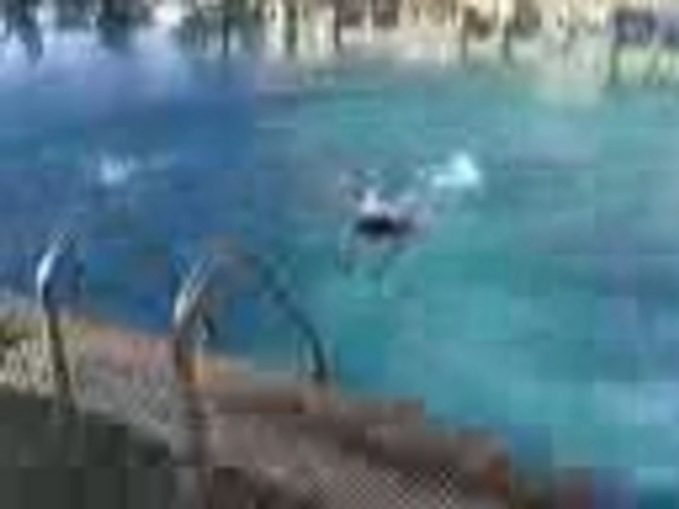 Vidéo001