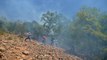 Munzur Vadisi Milli Parkı'ndaki ormanlık alanda çıkan örtü yangınına müdahale devam ediyor