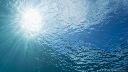 Futurando - Edição de 01/09/2021