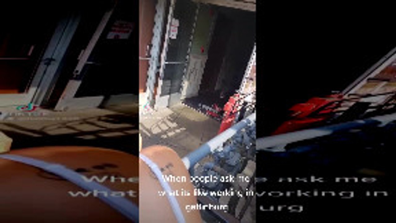 Bear Casually Strolls Through Crowded Corner