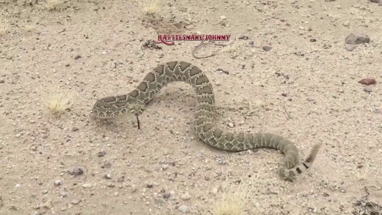 Grenzlandwanderung 02.02.2019 im Mansfelder Land Teil 2