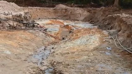 Amazonía brasileña sufre con el avance de la minería legal e ilegal