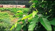 Kollam-Chennai Egmore Express Train | Beautiful View from my House | Push Pull Trail | Double Engine