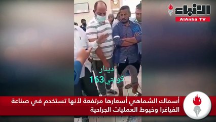 بيع ذكر سمك شماهي بــ 163 دينارا في سوق شرق