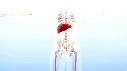 KARACİĞER TEMİZLİĞİ NASIL YAPILIR