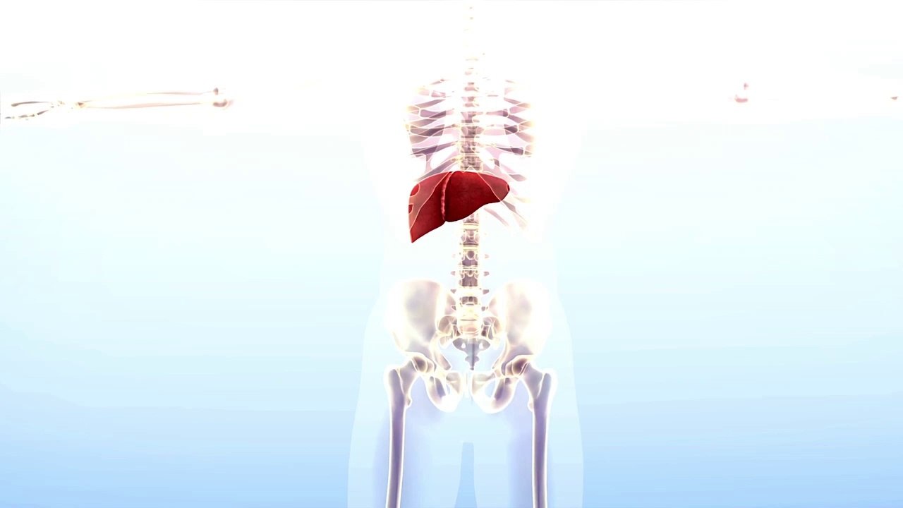 KARACİĞER TEMİZLİĞİ NASIL YAPILIR