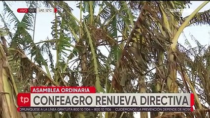 Confeagro renovó su directiva y plantean fortalecer el sector productivo