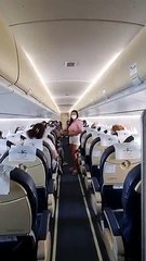 El momento más romántico en el cielo de Canarias: le pide matrimonio en pleno vuelo