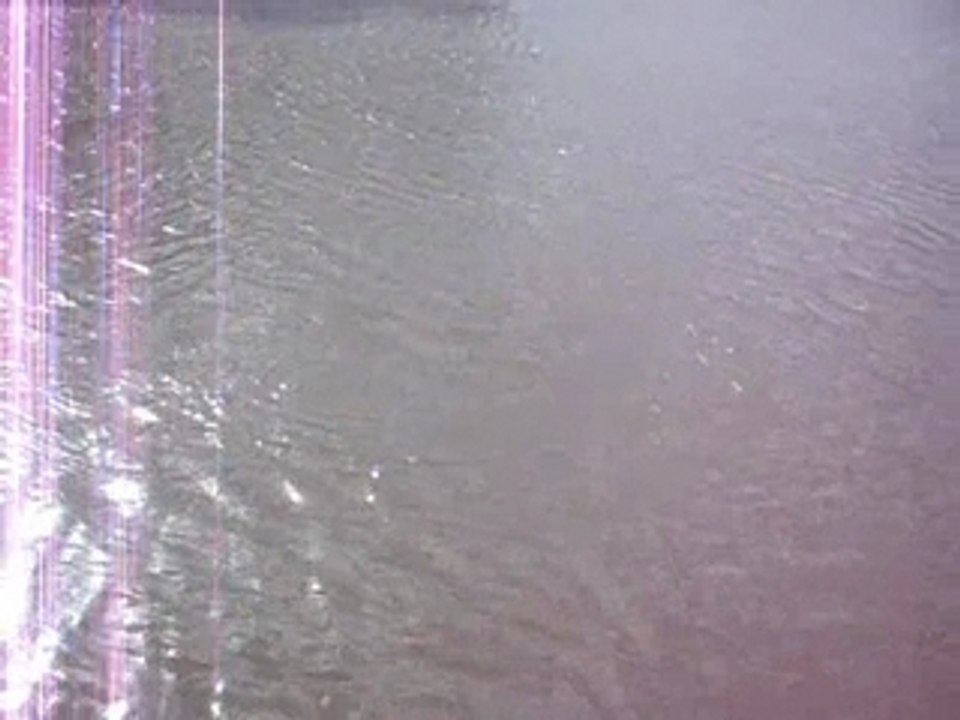 peche de la carpe : 1 ère session 2008