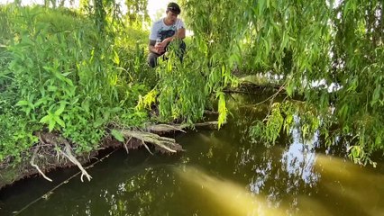 Large Fish Pulls Man into the Water