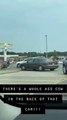فيديو : بقرة تذهب في رحلة إلى ماكدونالدز وتجلس بالمقعد الخلفي للسيارة