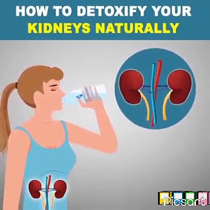 Best Ways To Keep Your Kidneys Healthy.