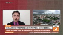 Professor denuncia matança de cães, gatos e urubus envenenados em cidade da região de Sousa