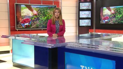 TVA Nouvelles CHAU 18h 30 aout 2021