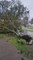 Trees Get Uprooted During Terrible Hurricane in Louisiana