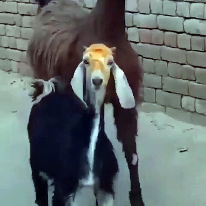 Funny Video - Me and my friend entering the after party LOL