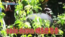 Law of the Jungle in Northern Mariana Islands E352 190223