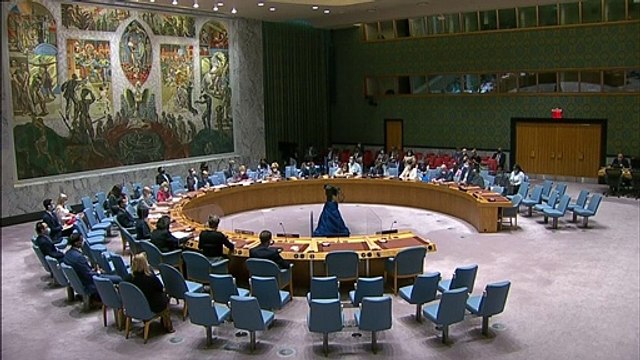 Conselho de Segurança pede garantias para saídas do Afeganistão