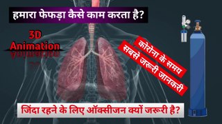 हमारा फेफड़ा कैसे काम करता है | How does our lung work | Oxygen | @THE SCIENCE NEWS - हिन्दी