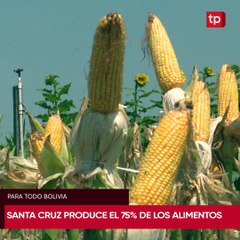 Santa Cruz produce el 75% de los alimentos de Bolivia