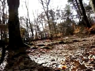 Seb, saut à Fontainebleau