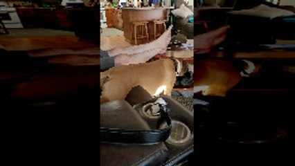 Independent Doggy Scratches Her Own Belly