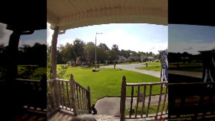 Owner Clings to Rambunctious Dog Down Deck