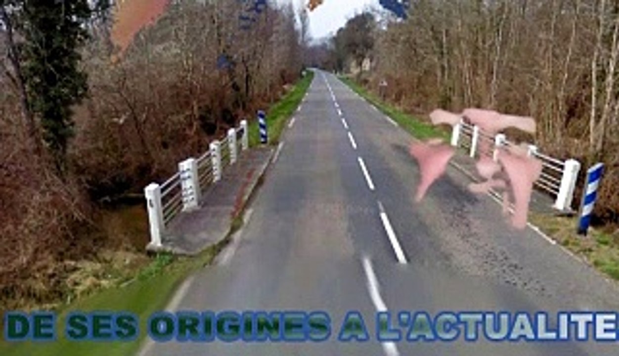 VIDEOROMAN 1 SUR N