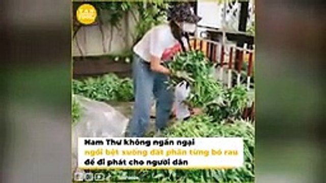 Nam Thư lái xe tiền tỷ chở lương thực tiếp tế mùa dịch: Còn phân chia rau, quét dọn từ A - Z