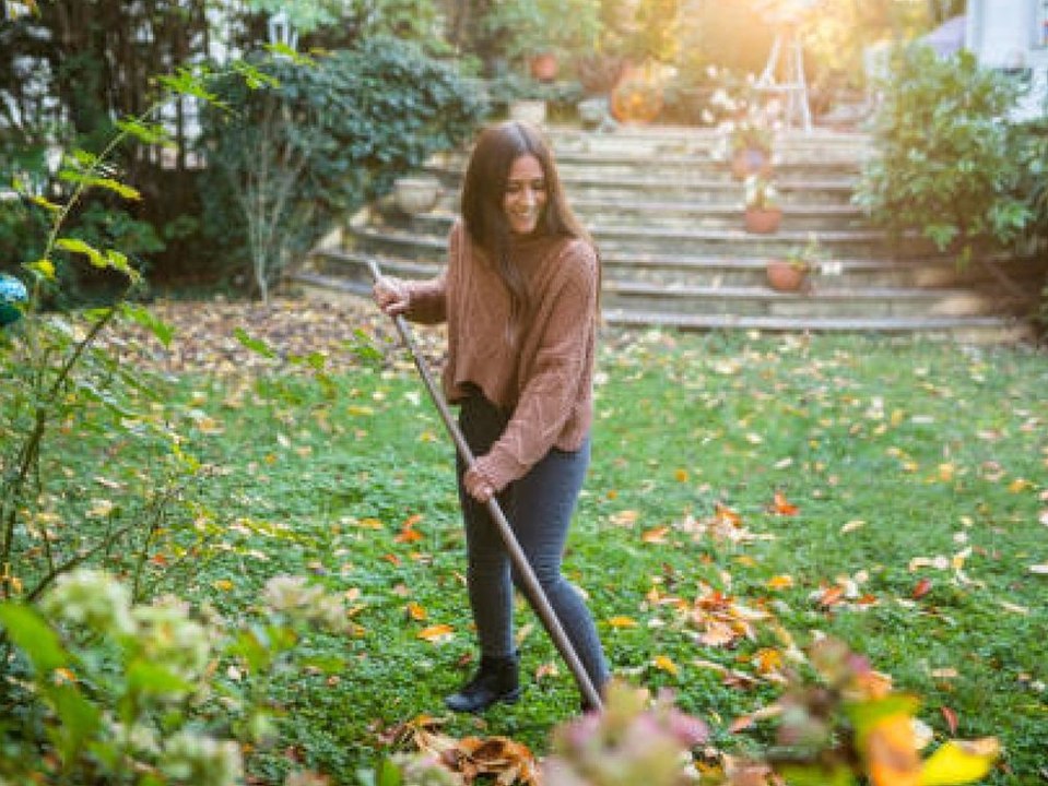 Der Herbst kommt: Was du jetzt im Garten tun musst