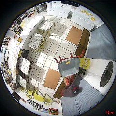 Ladrão azarado é recebido com golpes de rodinho pela vítima e pede para sair