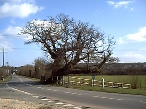 Ferdinand Hédiard (1832-1898)