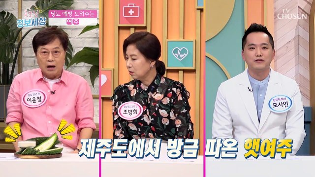 혈액을 맑고 깨끗하게 당뇨 잡는 도깨비방망이 『여주』 TV CHOSUN 210831 방송