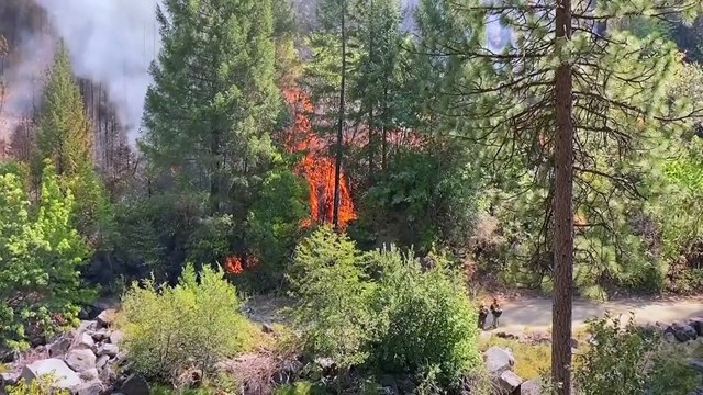 Incendies en Californie : des milliers de personnes évacuent la rive sud du lac Tahoe