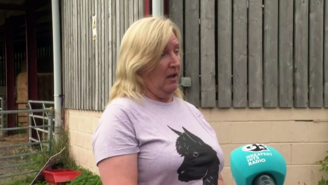 Geronimo’s owner ‘disgusted’ after alpaca is put down