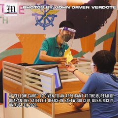 Yellow card issued for travel abroad